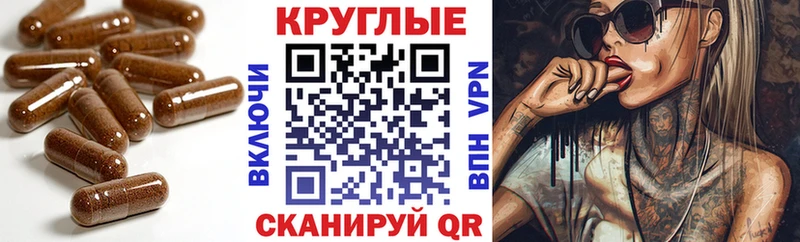 Ecstasy круглые  цены   mega ТОР  Грозный 