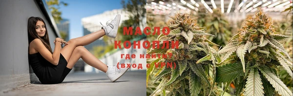 2c-b Козельск