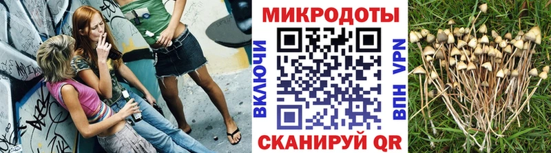 omg сайт  Грозный  Галлюциногенные грибы мицелий 