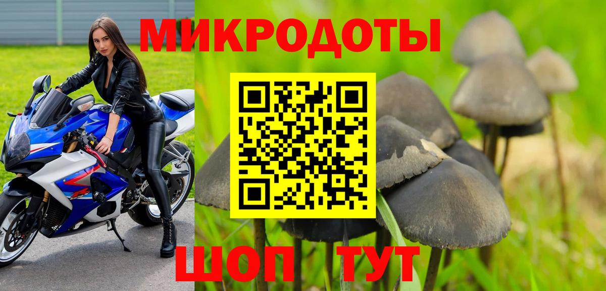 Грозный  Псилоцибиновые грибы Psilocybe  Вход с VPN 