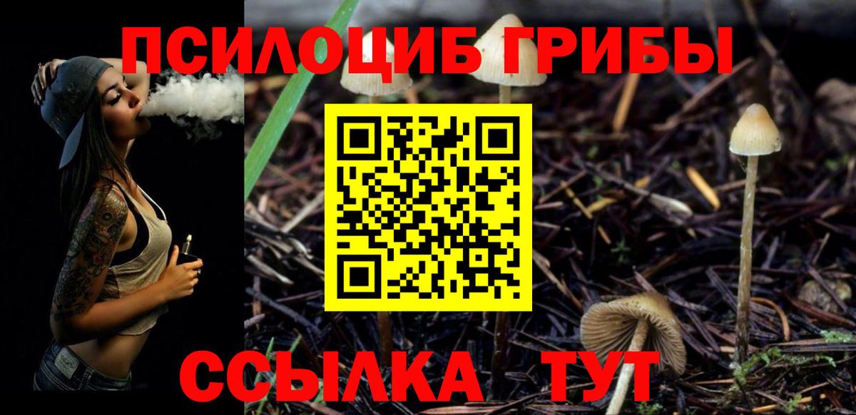 Псилоцибиновые грибы Cubensis Грозный