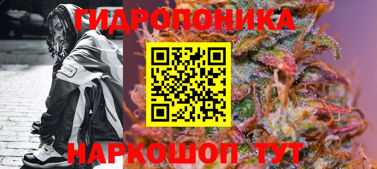 Бошки марихуана конопля  Вход с VPN  Шишки марихуана THC 21%  Грозный  МАРИХУАНА Ganja 